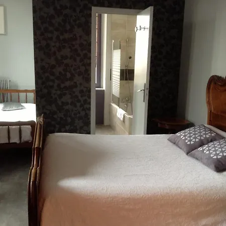 L'hotel L'astree Feurs